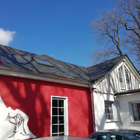 Kleines Studio Im Eichenwaeldchen, 1 Zimmer Kueche Bad Friedrichsgrun Exterior photo