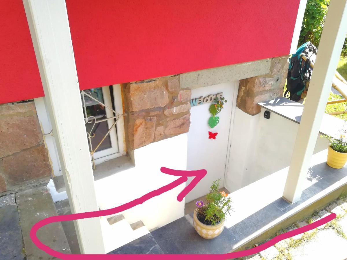 Kleines Studio Im Eichenwaeldchen, 1 Zimmer Kueche Bad Friedrichsgrun Exterior photo