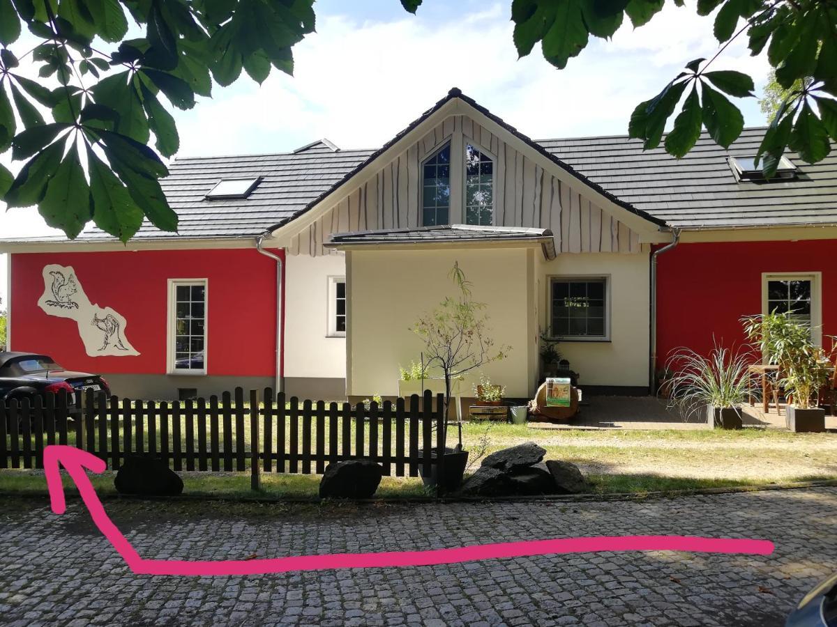 Kleines Studio Im Eichenwaeldchen, 1 Zimmer Kueche Bad Friedrichsgrun Exterior photo
